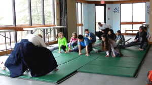 Aikido Picture 2