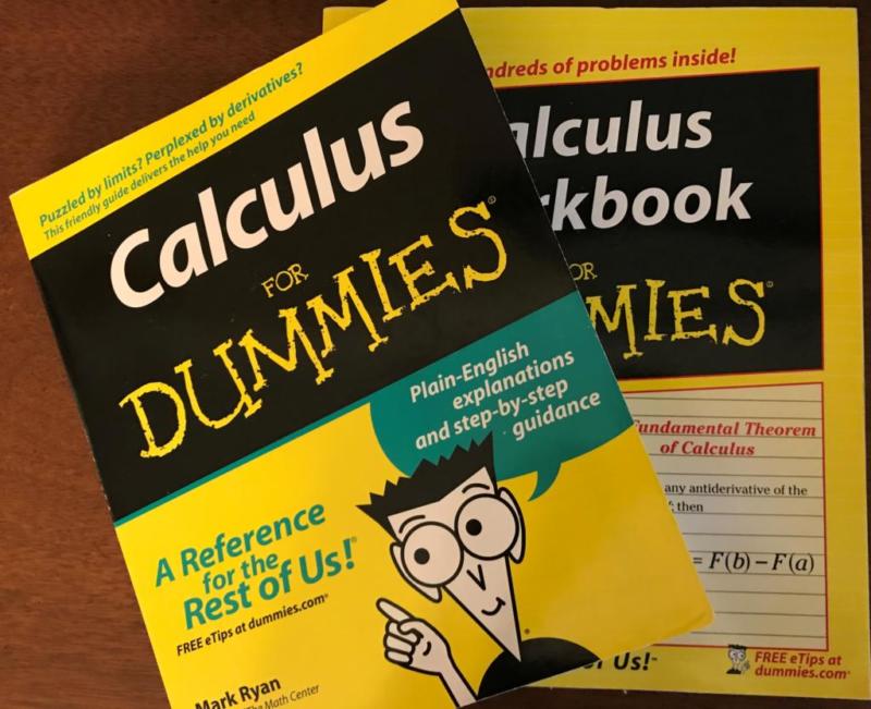 business calculus for dummies pdf