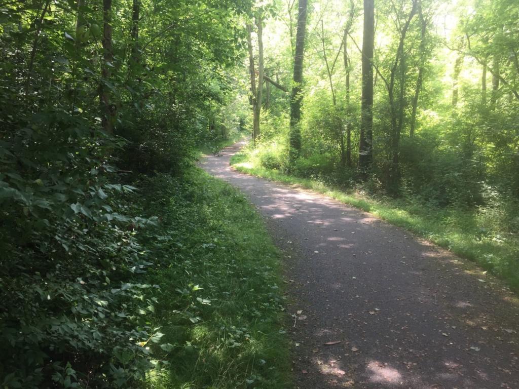Sugarland Run Trail 10