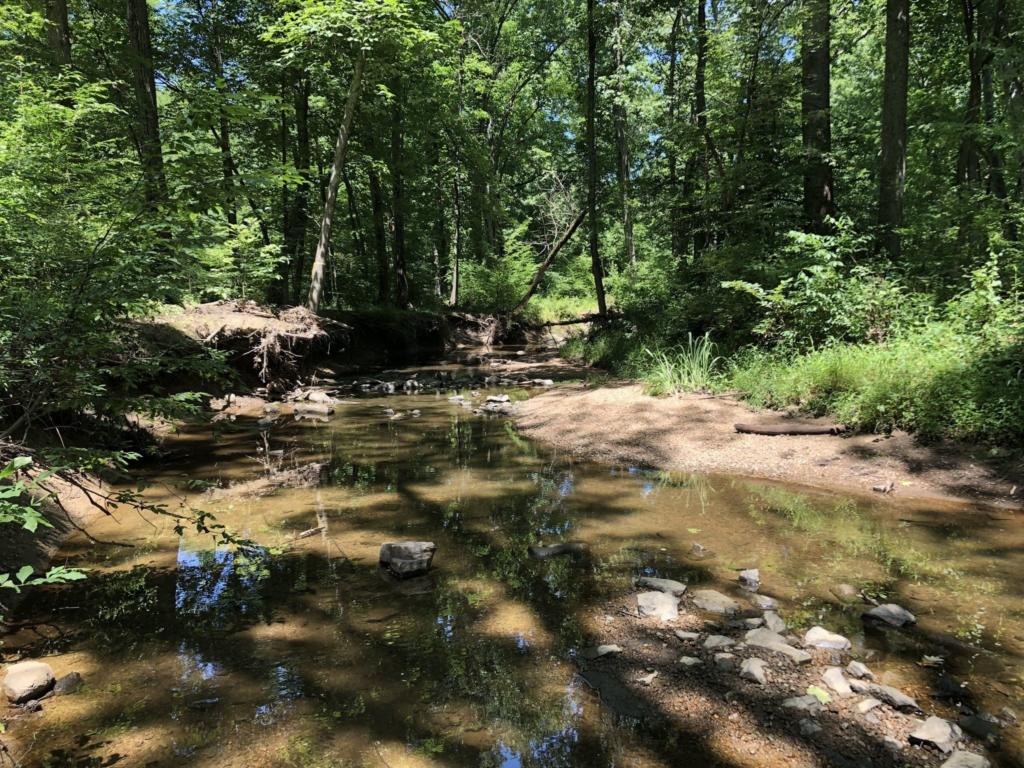 Sugarland Run Trail 2