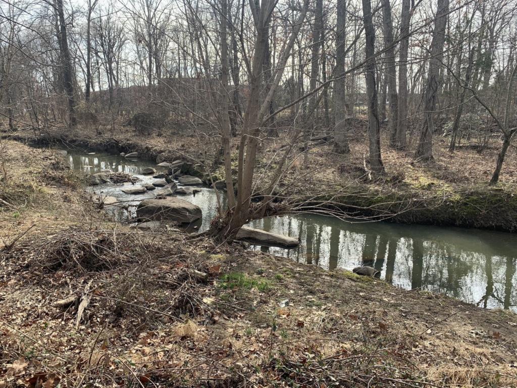 Sugarland Run Trail 6